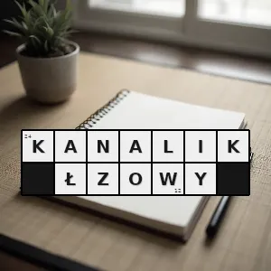Hasło krzyżówkowe drobny przewód przy oku - kanalik łzowy – rozwiązanie, synonimy, podpowiedzi i definicje krzyżówkowe